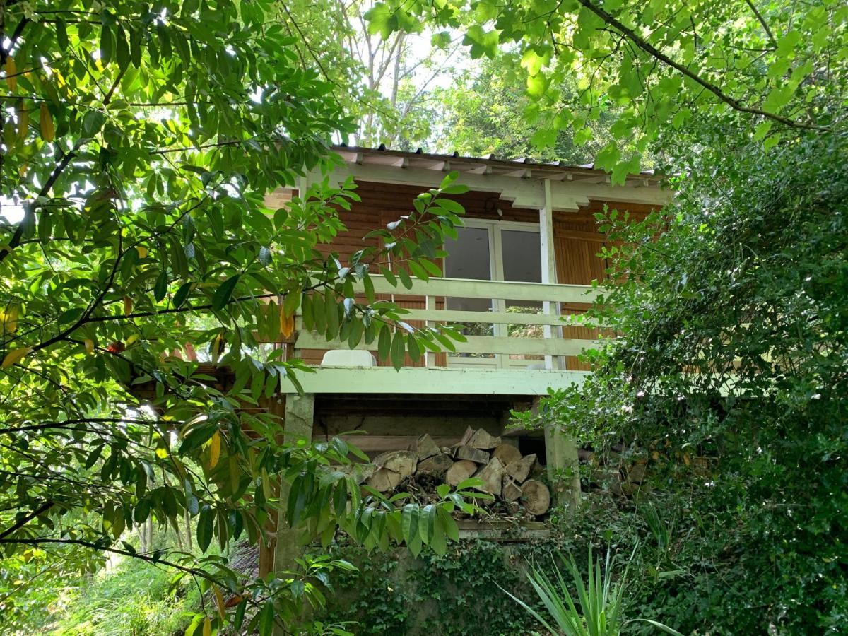 Chalet En Bord De Seine Villa Le Coudray-Montceaux Exterior photo